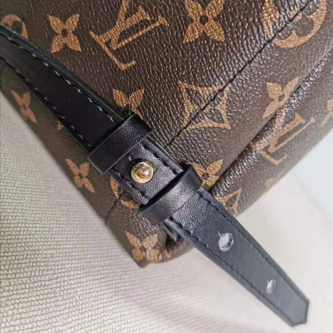 Louis Vuitton Palm Springs PM vs 2020 Montsouris PM, Which Is