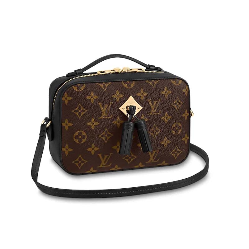 Louis Vuitton LV Women Saintonge Handbag in Monogram Canvas and Smooth Leather - LULUX
