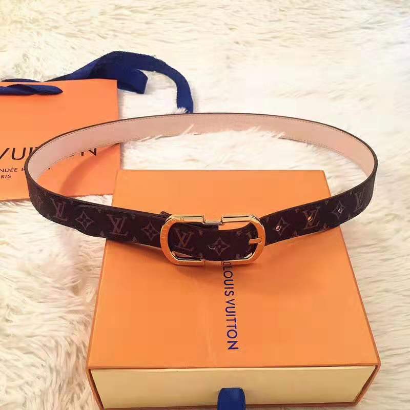 Louis Vuitton Daily Multi Pocket 30 MM Belt Bag Brown 80 For Sale at  1stDibs