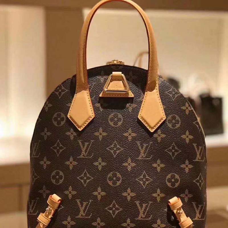 Louis Vuitton No.1 Fan Page on Instagram: “Bag organizer for LV Moon  backpack by @samorga ❤️ Love it😍 #samorga #o…