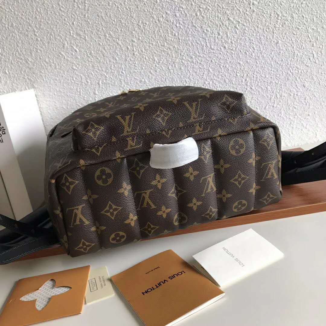 Louis Vuitton LV Unisex Palm Springs MM Backpack in Monogram Coated ...