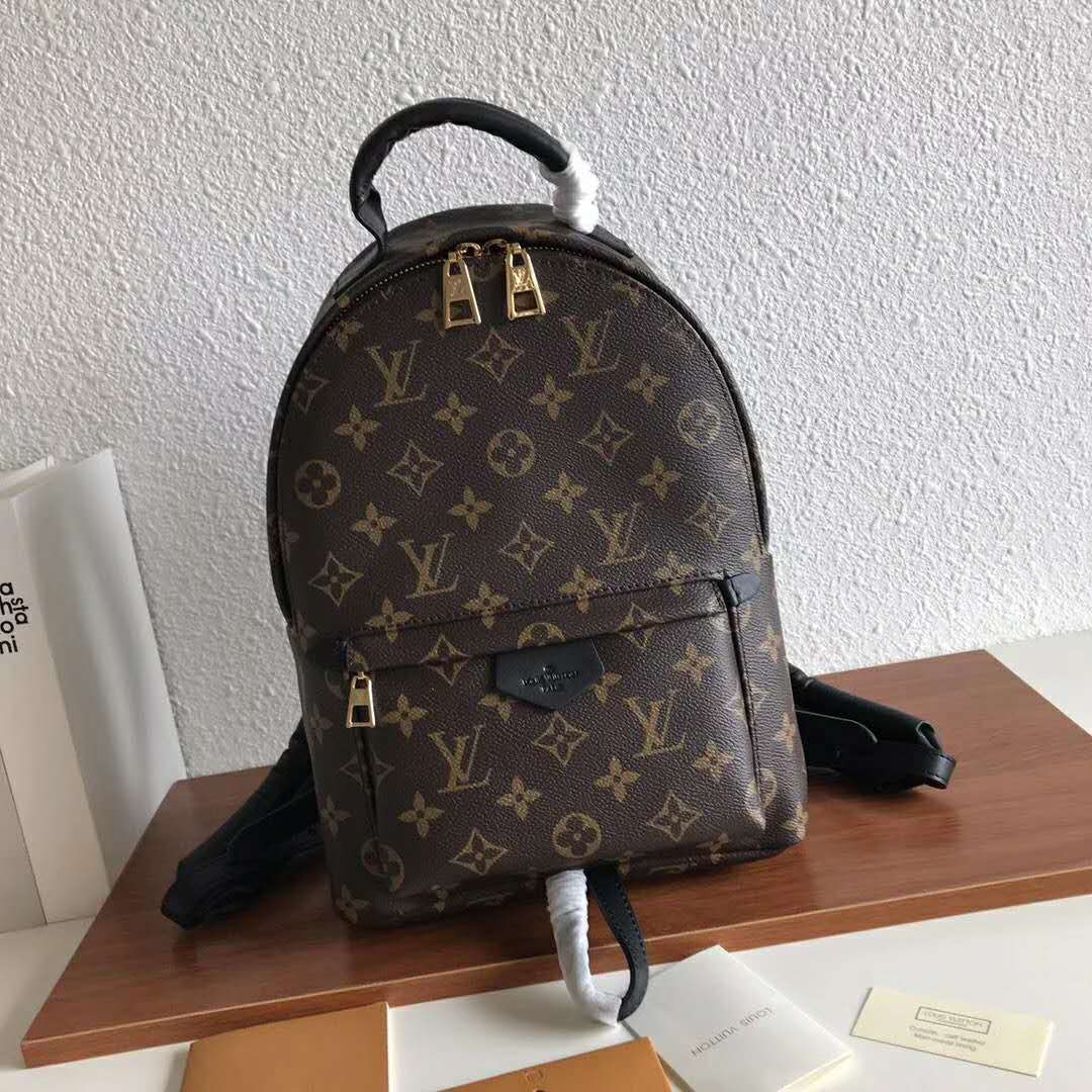 Louis Vuitton LV Unisex Palm Springs PM Backpack in Monogram Coated ...