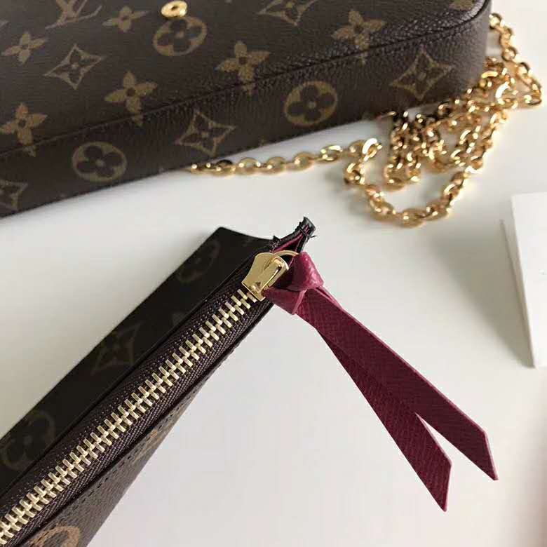 Louis Vuitton LV Women Félicie Pochette Bag in Monogram Canvas-Brown ...