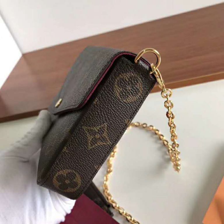 Louis Vuitton LV Women Félicie Pochette Bag in Monogram Canvas-Brown ...