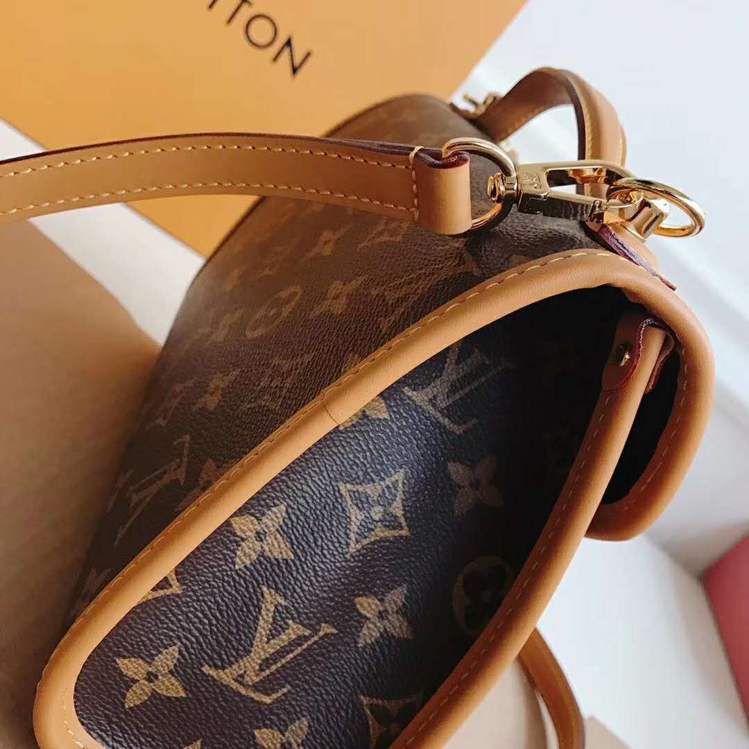 Louis Vuitton LV Women LV Ivy Bag in Monogram Coated Canvas-Brown