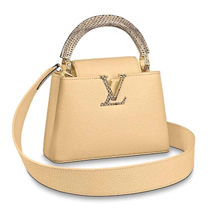 Louis Vuitton Coral Taurillon Leather and Ayers Snake Capucines Mini Bag -  Yoogi's Closet