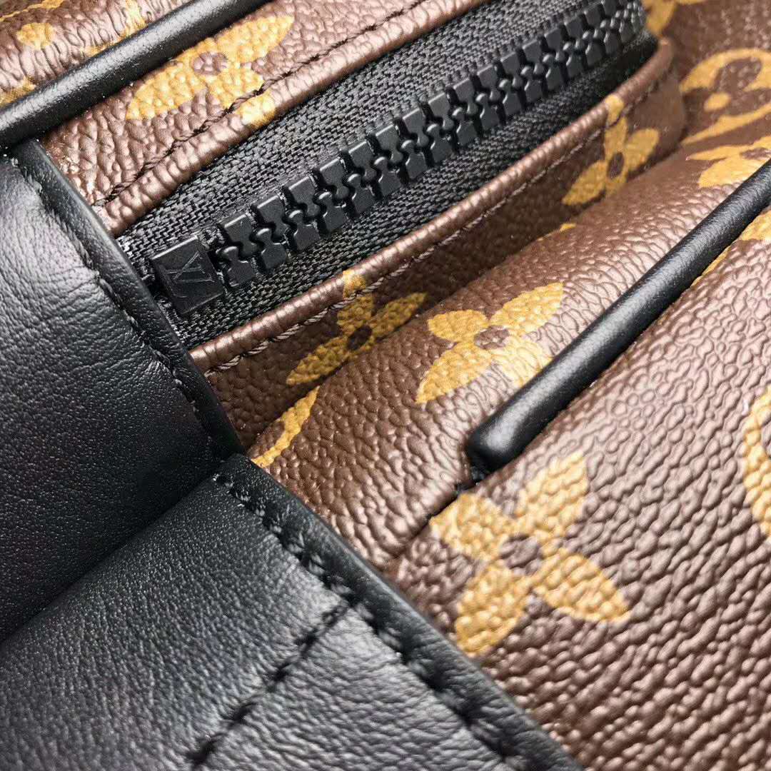 Louis Vuitton Dean Monogram Macassar Backpack Bag