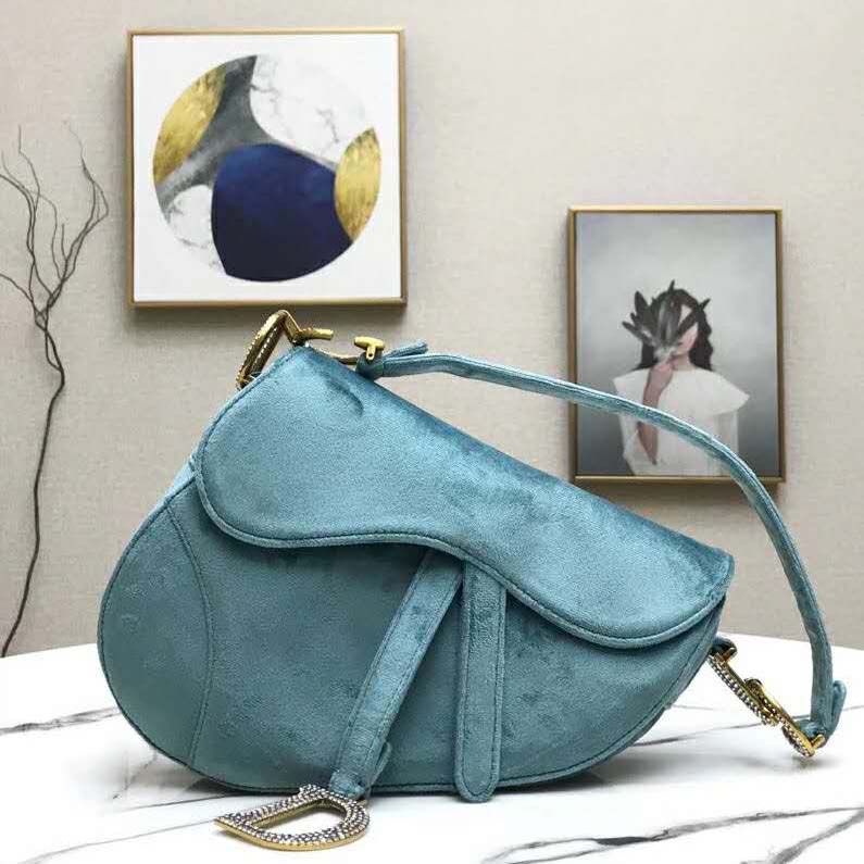 Saddle Dior Handbags for Women - Vestiaire Collective