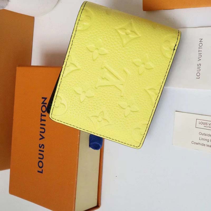 PacSafe Wallet Versus Louis Vuitton Wallet – I Tell You, Better You