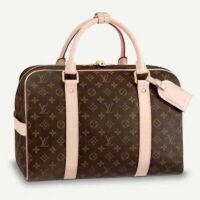 Louis Vuitton LV Unisex Carryall Coated Canvas VVN Shiny Golden Brass (7)