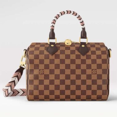 Louis Vuitton Women LV Braided Speedy 25 Handbag Damier Ebene Coated Canvas