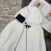 Louis Vuitton Men Signature Cotton Hoodie 1AFVUN (1)