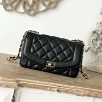 Chanel Women Flap Bag in Lambskin and Patent Calfskin-Black (2)