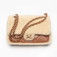 Chanel Women Flap Bag in Shearling Lambskin Leather-Brown (1)