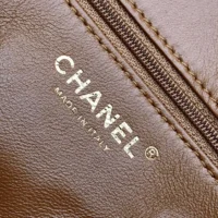 Chanel Women Flap Bag in Shearling Lambskin Leather-Brown (1)