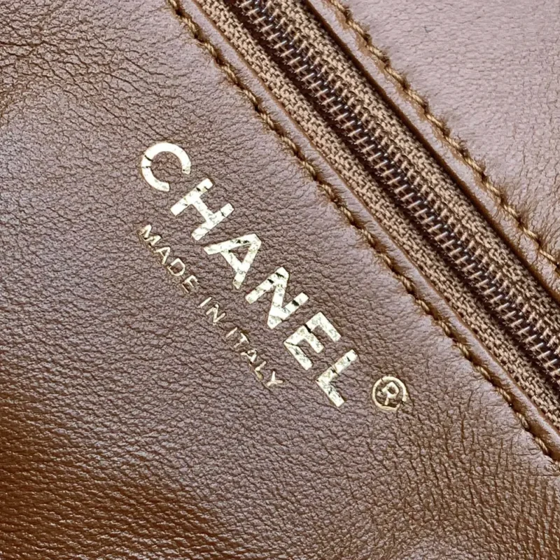 Chanel Women Flap Bag in Shearling Lambskin Leather-Brown