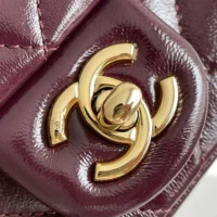 Chanel Women Mini Flap Bag with Top Handle Shiny Lambskin Gold Tone Metal AS5043B17665NZG79 (1)