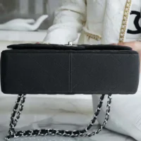 Chanel Women Small Classic Handbag in Grained Calfskin Silver Tone Metal-Black (1)