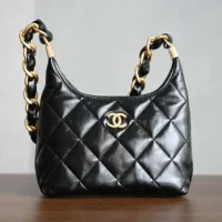 Chanel Women Small Hobo Bag Shiny Lambskin Gold Tone Metal AS4922B1689794305 (1)