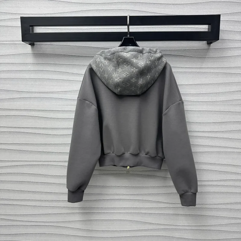 Louis Vuitton Men Monogram Accent Knit Hoodie-Grey 1AGCI2