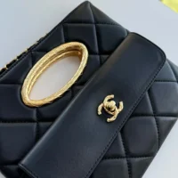 Chanel Women Clutch Lambskin-Black AS5038 (1)