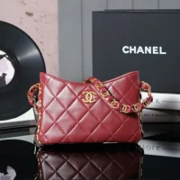 Chanel Women Hobo Handbag Lambskin AS5177B18293NZV44 (1)