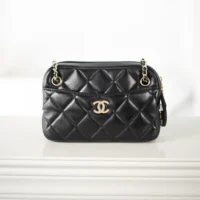 Chanel Women Mini Camera Case Shiny Lambskin Gold Tone Metal (1)