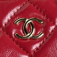 Chanel Women Small Camera Case Shiny Crumpled Lambskin Gold Tone Metal-Burgundy (1)