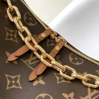 Louis Vuitton Women Loop Hobo-Brown M46311 (1)