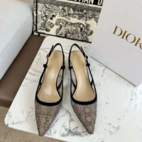 Dior Women Capture Slingback Pump Transparent Mesh with Silver-Tone Strass Cannage Motif (1)