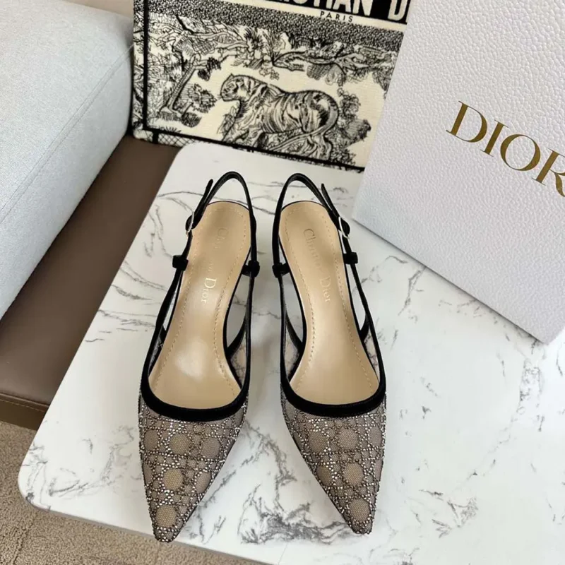 Dior Women Capture Slingback Pump Transparent Mesh with Silver-Tone Strass Cannage Motif