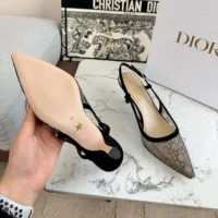 Dior Women Capture Slingback Pump Transparent Mesh with Silver-Tone Strass Cannage Motif (1)