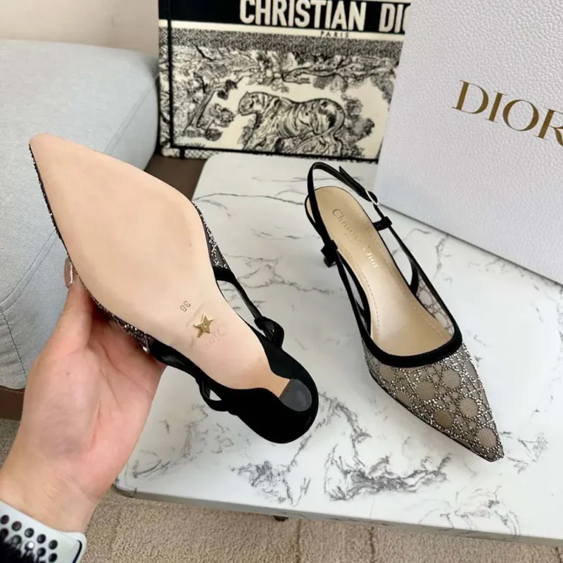 Dior Women Capture Slingback Pump Transparent Mesh with Silver-Tone Strass Cannage Motif