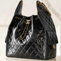 Chanel Women 25 Hobo Bag Calfskin Gold Tone Metal-Black (1)