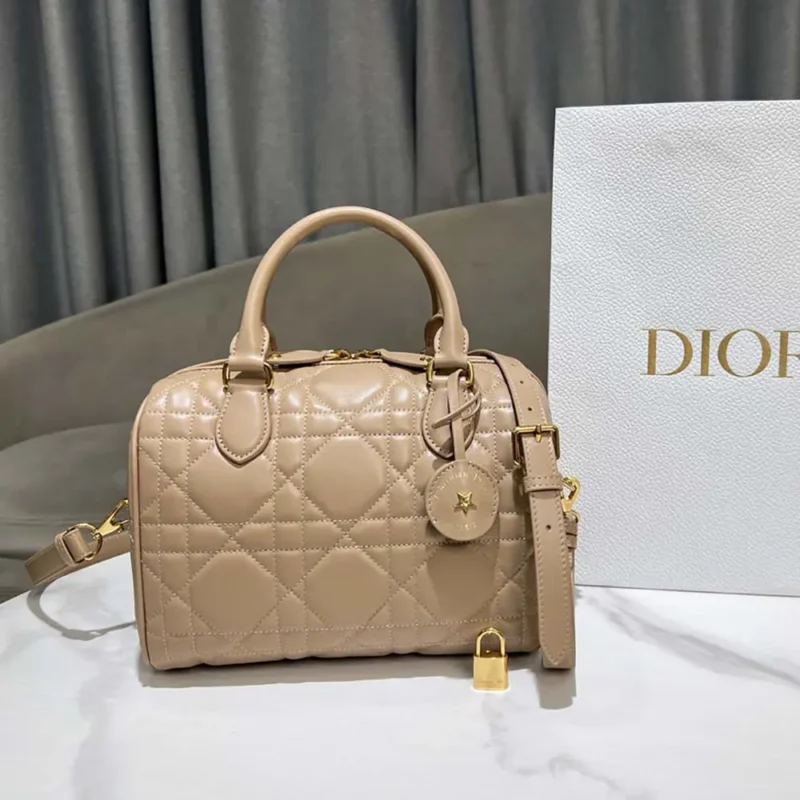 Dior Women Groove 25 Bag Biscuit Macrocannage Calfskin M1365UBOL