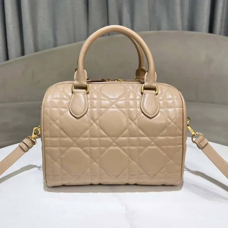 Dior Women Groove 25 Bag Biscuit Macrocannage Calfskin M1365UBOL