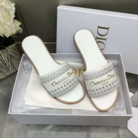 Dior Women White Calfskin with Openwork Microcannage Motif (1)