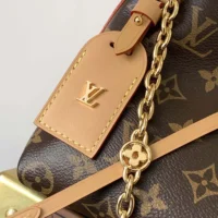 Louis Vuitton LV Women CarryAll BB in Cowhide-leather Trim M13014 (1)