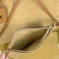 Louis Vuitton LV Women CarryAll PM in Suede Leather M11843 (1)